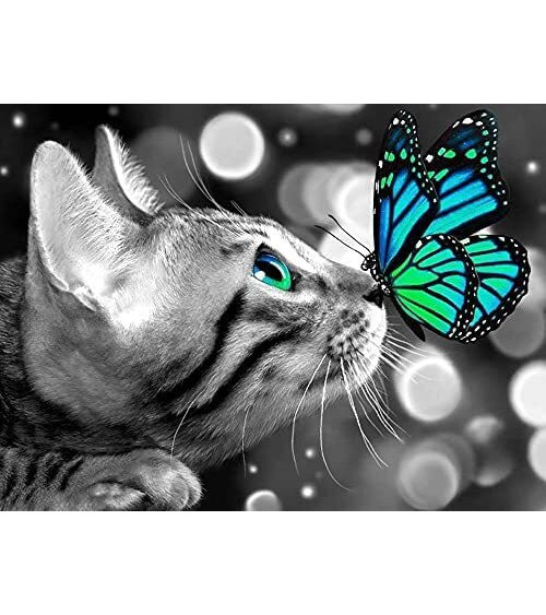 Diamond Painting- Katze mit Schmetterling