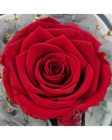 Ewige Rose Engel- Rot