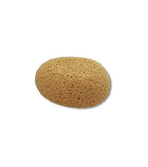 Polyschwamm Frina