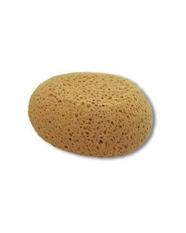 Polyschwamm Frina