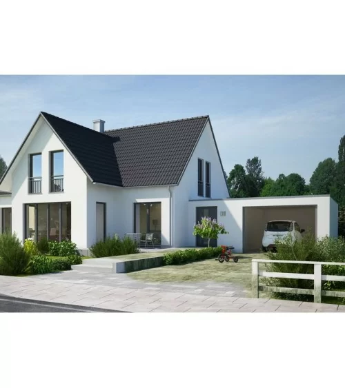 MELLERUD Algen & Moos Entferner Konzentrat | 1 l
