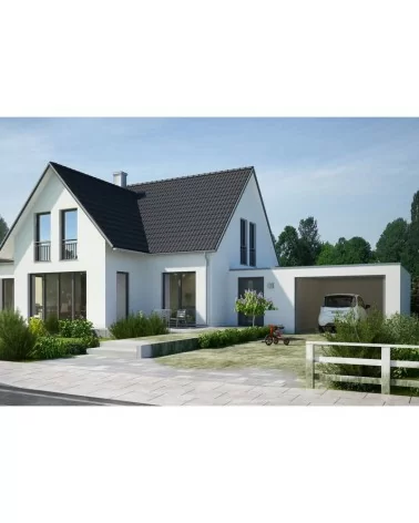 MELLERUD Algen & Moos Entferner Konzentrat | 1 l