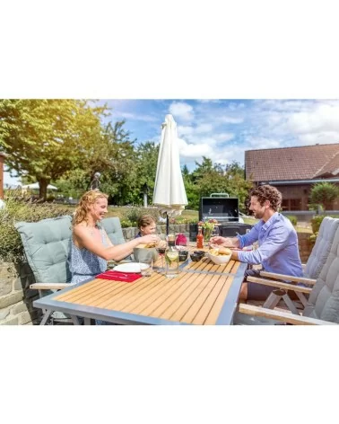 MELLERUD Grill & BBQ Reiniger | 0,46 l