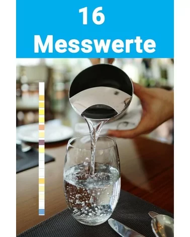 Bandelettes de test pour l'eau potable BMUT 16 en 1 | 25 pièces