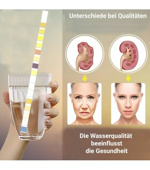 Bandelettes de test pour l'eau potable BMUT 16 en 1 | 25 pièces