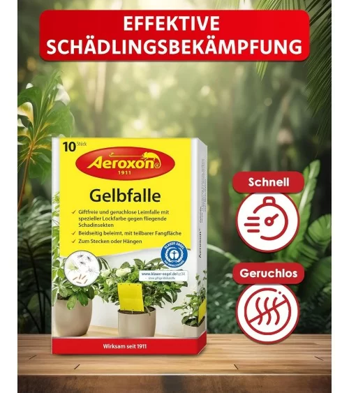 Aeroxon Gelbfalle | 10Stk.