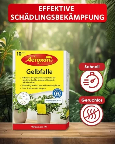 Aeroxon Gelbfalle | 10Stk.