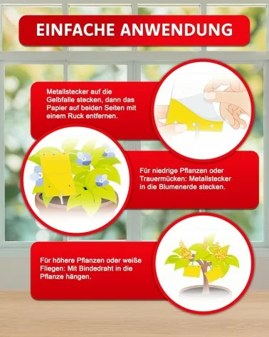 Aeroxon Gelbfalle | 10Stk.