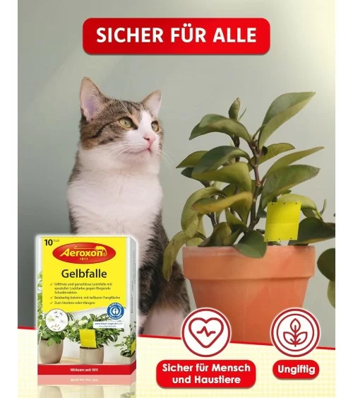 Aeroxon Gelbfalle | 10Stk.