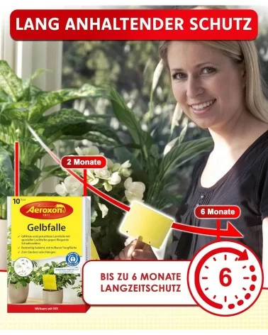 Aeroxon Gelbfalle | 10Stk.