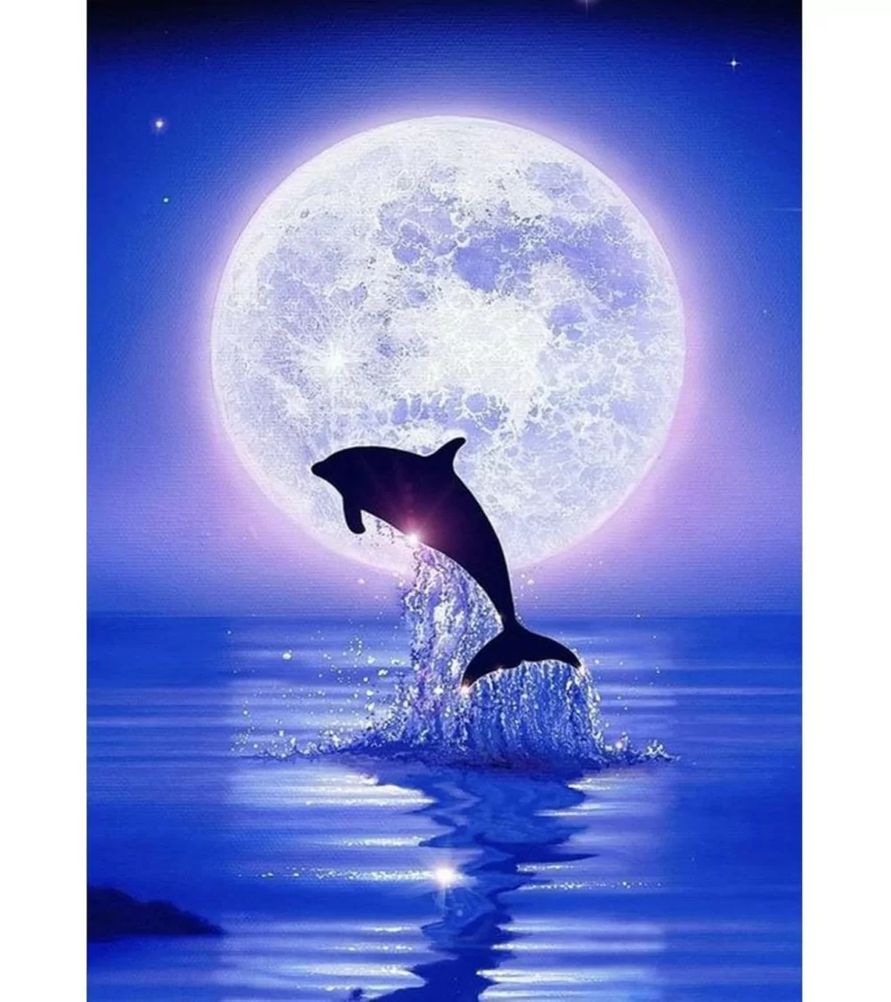 Diamond Painting 30x40cm | Delfin