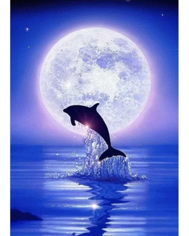 Diamond Painting 30x40cm | Delfin