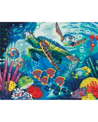 Malen nach Zahlen 40x50cm | Schildkröte 3