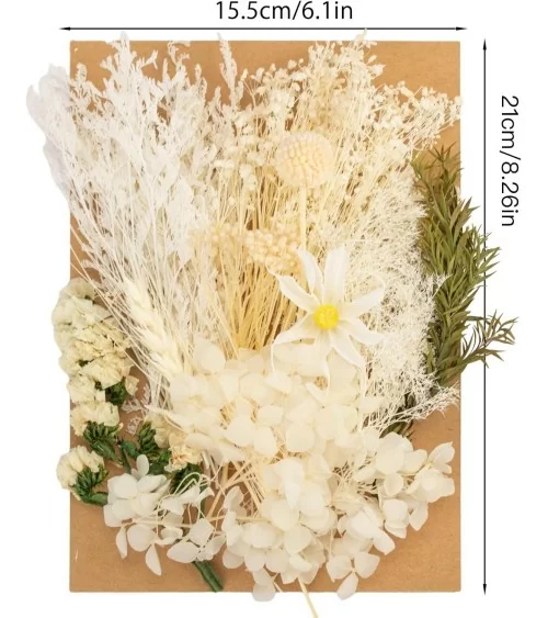 Natürliche Trockenblumen| Nachhaltig Basteln