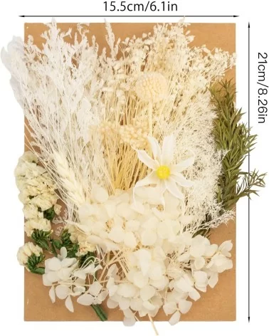 Natürliche Trockenblumen| Nachhaltig Basteln