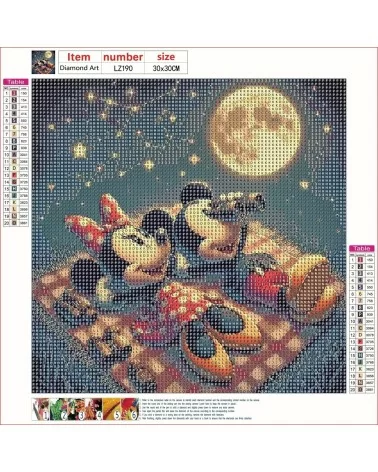 Diamond Painting 30x30cm | Mickey&Minnie