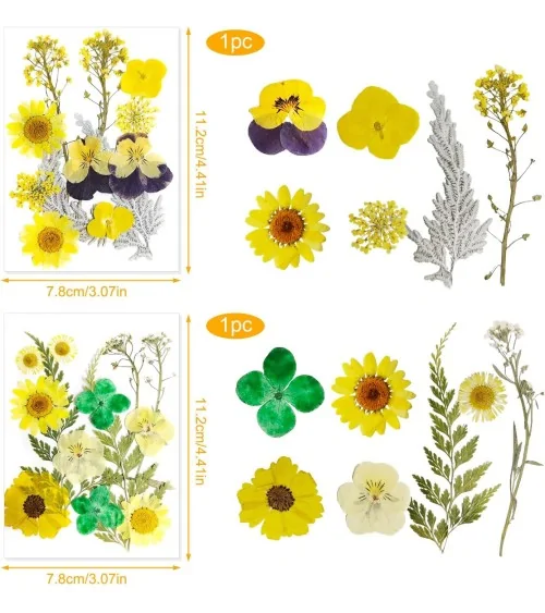 Natürliche Trockenblumen| Nachhaltig Basteln