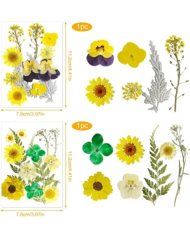 Natürliche Trockenblumen| Nachhaltig Basteln