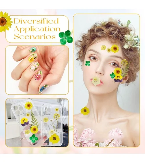 Natürliche Trockenblumen| Nachhaltig Basteln