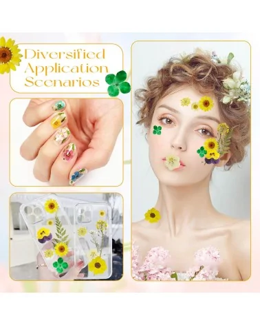 Natürliche Trockenblumen| Nachhaltig Basteln