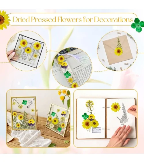 Natürliche Trockenblumen| Nachhaltig Basteln