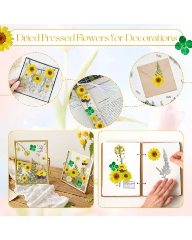 Natürliche Trockenblumen| Nachhaltig Basteln