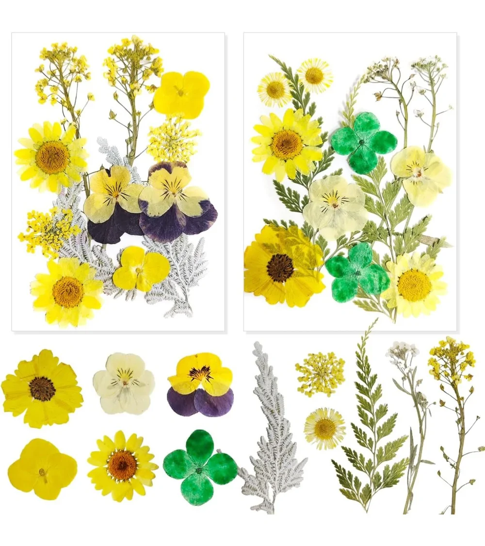 Natürliche Trockenblumen| Nachhaltig Basteln