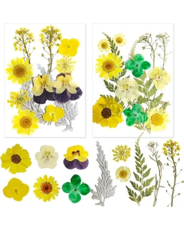Natürliche Trockenblumen| Nachhaltig Basteln