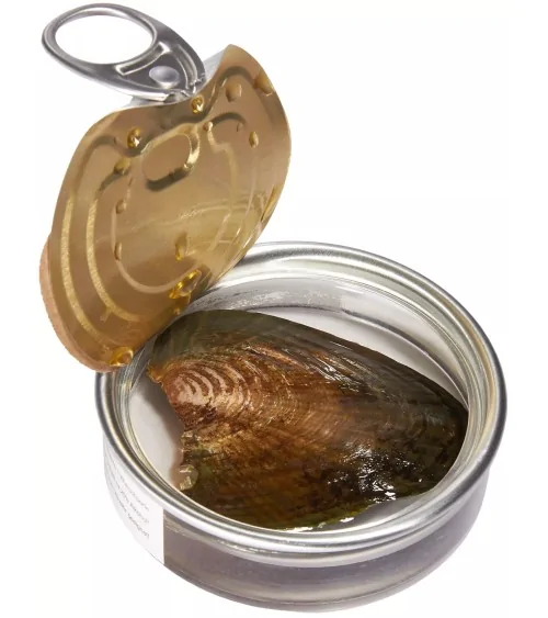 Muschel Wunschperle mit Halskette | Liebe