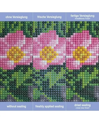 Diamond Painting Versiegelung | 100ml