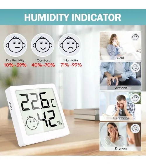 Mini- Thermo Hygrometer