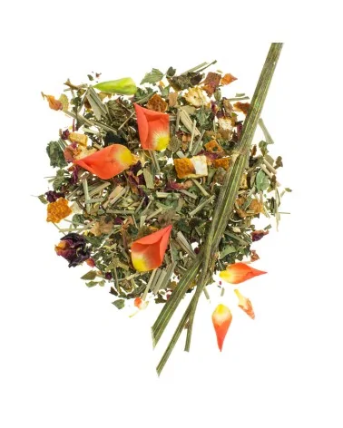 GLOREX Blütenpotpourri Zitrus | 3g