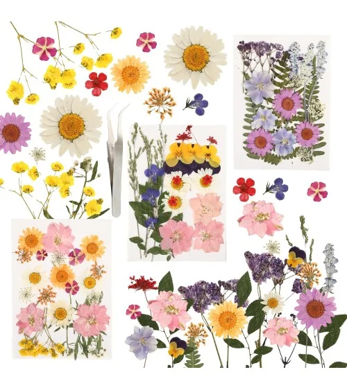 Natürliche Trockenblumen| Nachhaltig Basteln