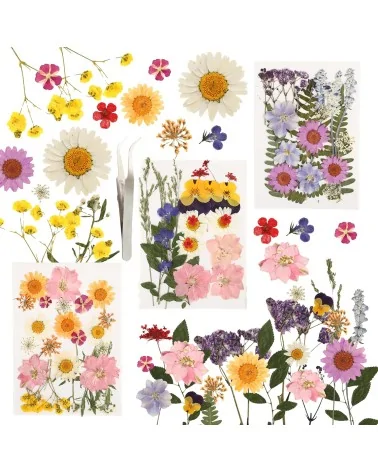 Natürliche Trockenblumen| Nachhaltig Basteln