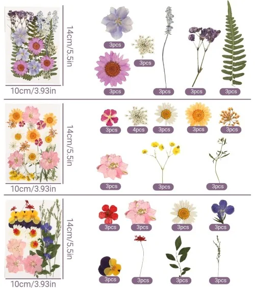 Natürliche Trockenblumen| Nachhaltig Basteln