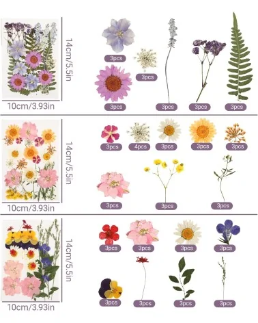 Natürliche Trockenblumen| Nachhaltig Basteln