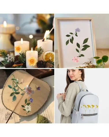 Natürliche Trockenblumen| Nachhaltig Basteln
