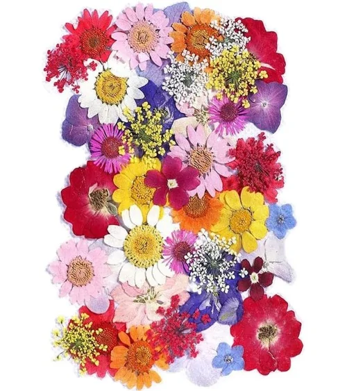 Natürliche Trockenblumen| Perfekt zum Basteln