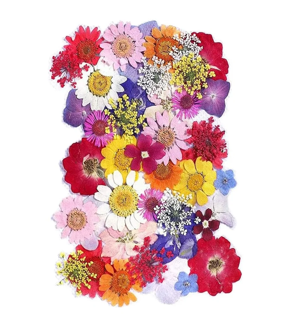 Natürliche Trockenblumen| Perfekt zum Basteln
