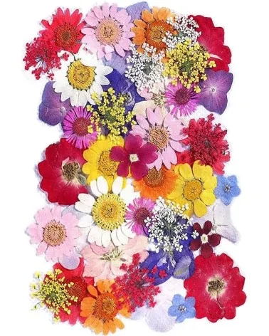 Natürliche Trockenblumen| Perfekt zum Basteln
