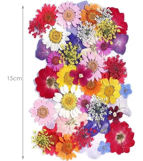 Natürliche Trockenblumen| Perfekt zum Basteln