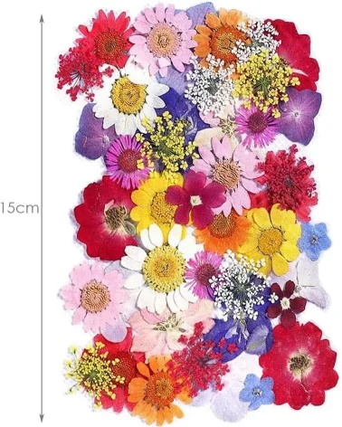 Natürliche Trockenblumen| Perfekt zum Basteln