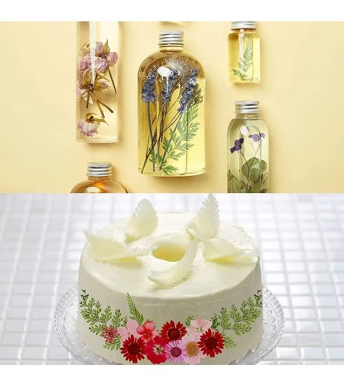 Natürliche Trockenblumen| Perfekt zum Basteln