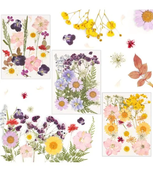 Natürliche Trockenblumen| Perfekt zum Basteln