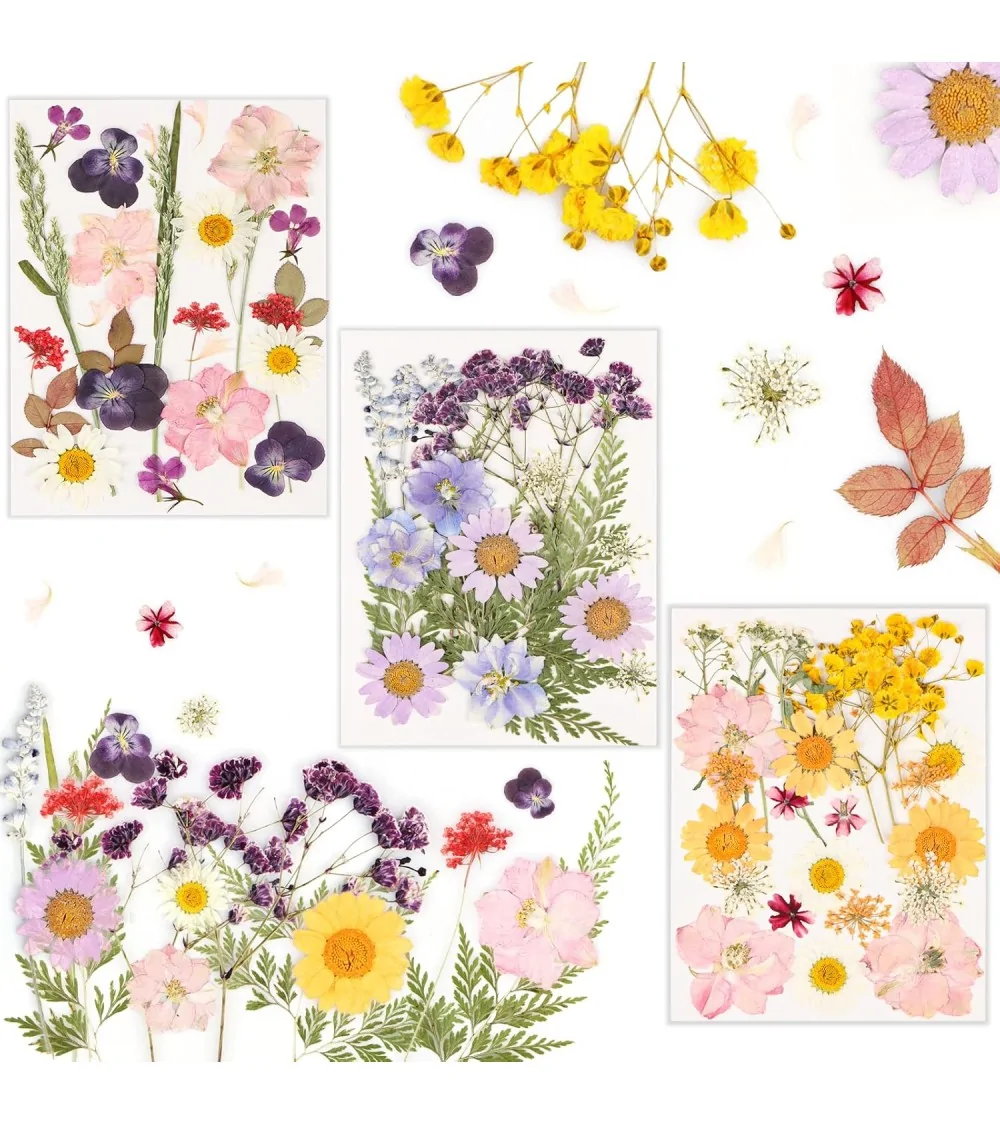 Natürliche Trockenblumen| Perfekt zum Basteln