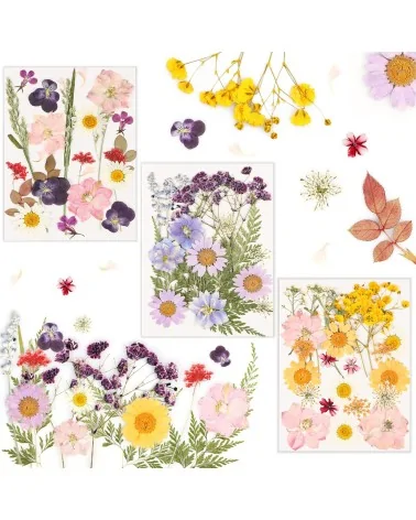 Natürliche Trockenblumen| Perfekt zum Basteln