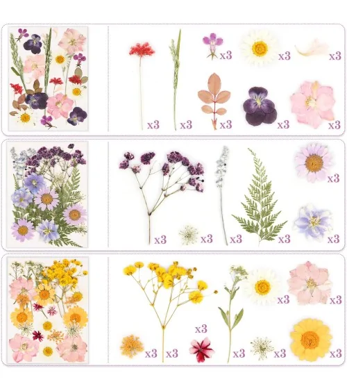 Natürliche Trockenblumen| Perfekt zum Basteln