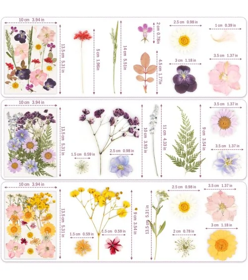 Natürliche Trockenblumen| Perfekt zum Basteln