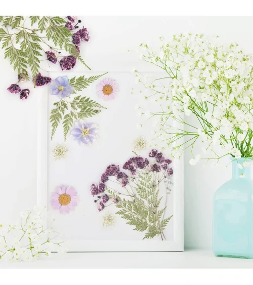 Natürliche Trockenblumen| Perfekt zum Basteln