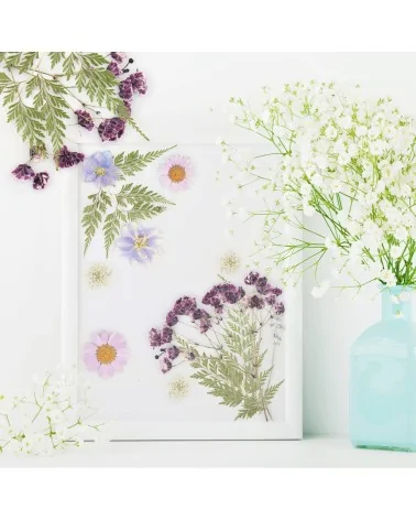 Natürliche Trockenblumen| Perfekt zum Basteln